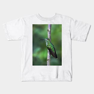 Green-Crowned Brilliant Hummingbird - Costa Rica Kids T-Shirt